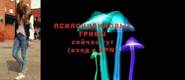 гидропоника Арсеньев