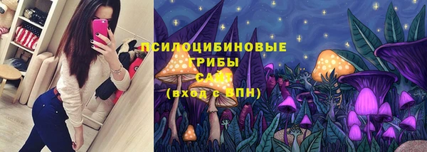 бошки Армянск