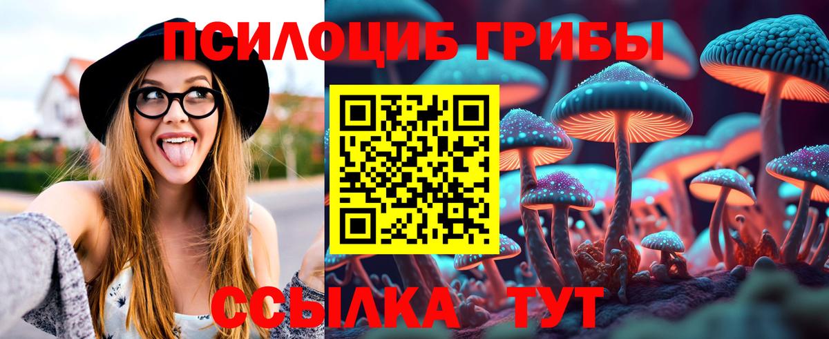 купить   Галлюциногенные грибы GOLDEN TEACHER  Вход с VPN  Одинцово 
