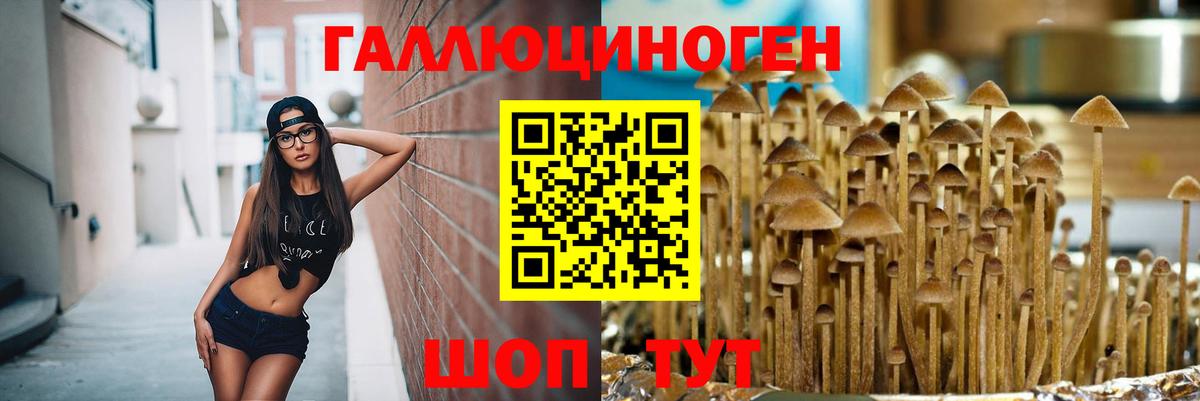 Галлюциногенные грибы Magic Shrooms Одинцово